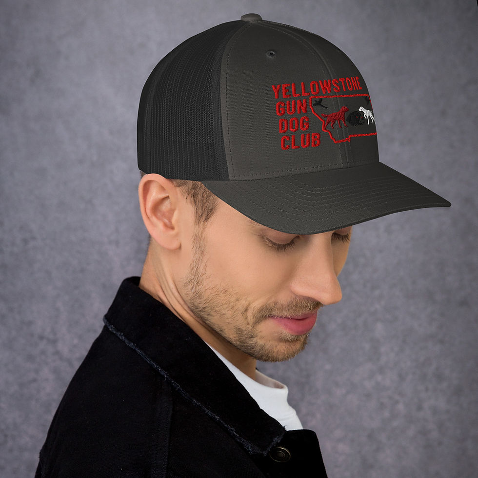 Thumbnail: Logo Trucker Cap