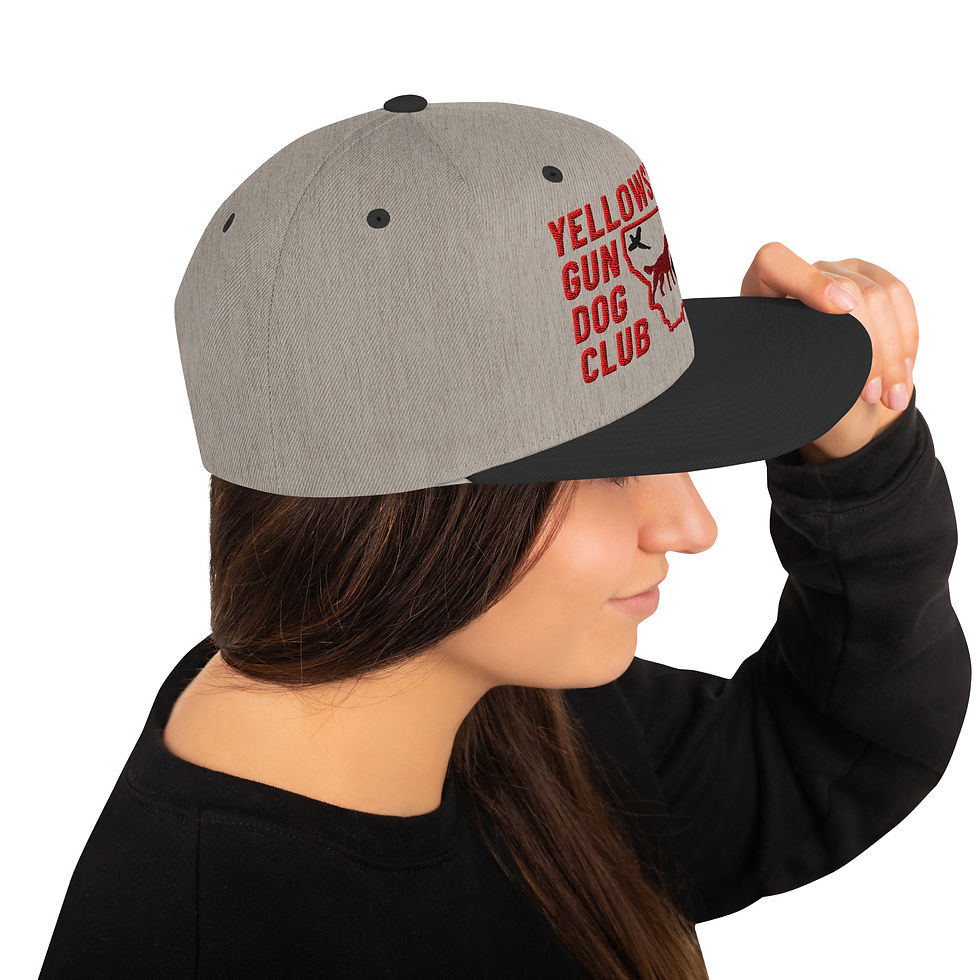 Thumbnail: Embroidered Logo Snapback Hat