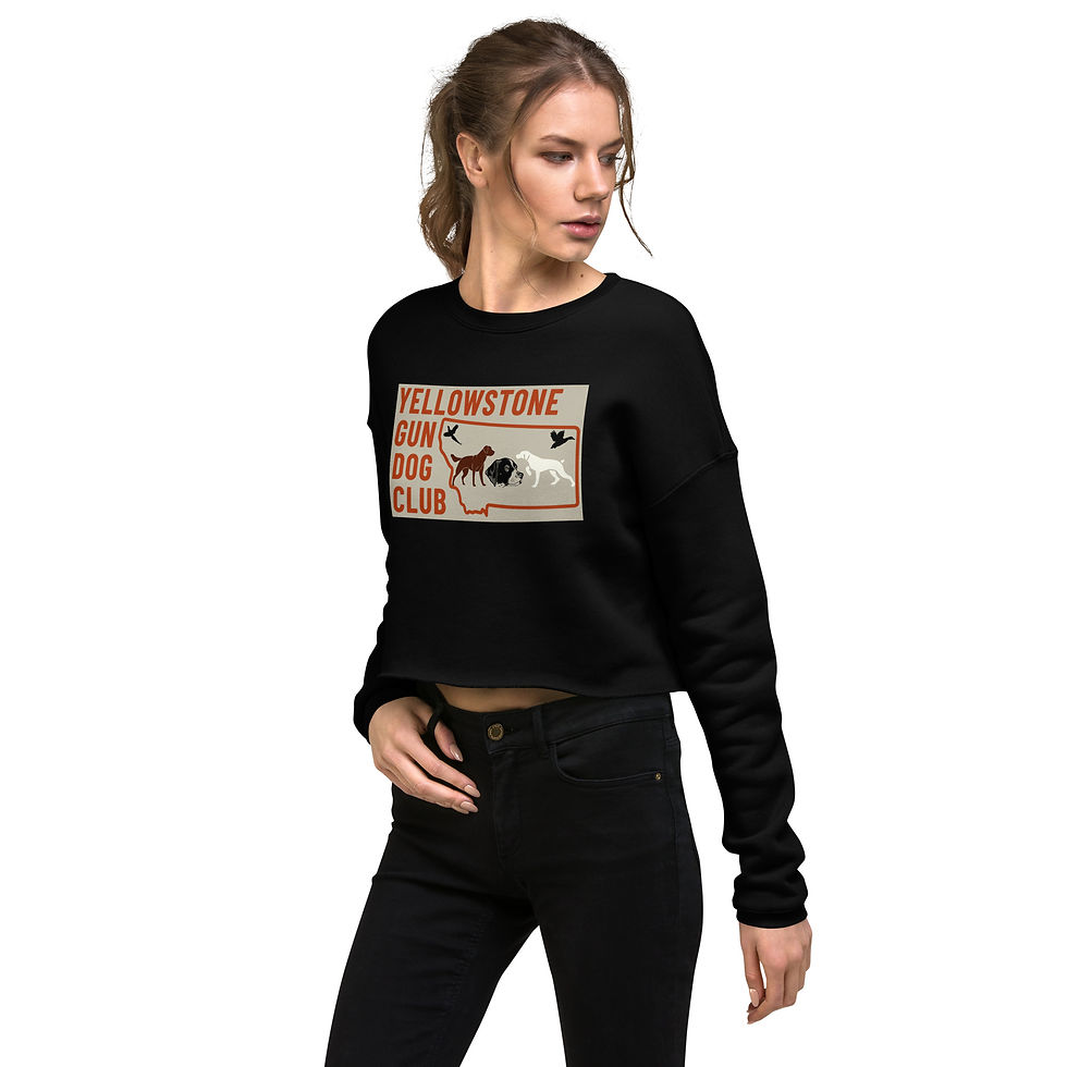 Thumbnail: Full Color Logo Crop Sweatshirt