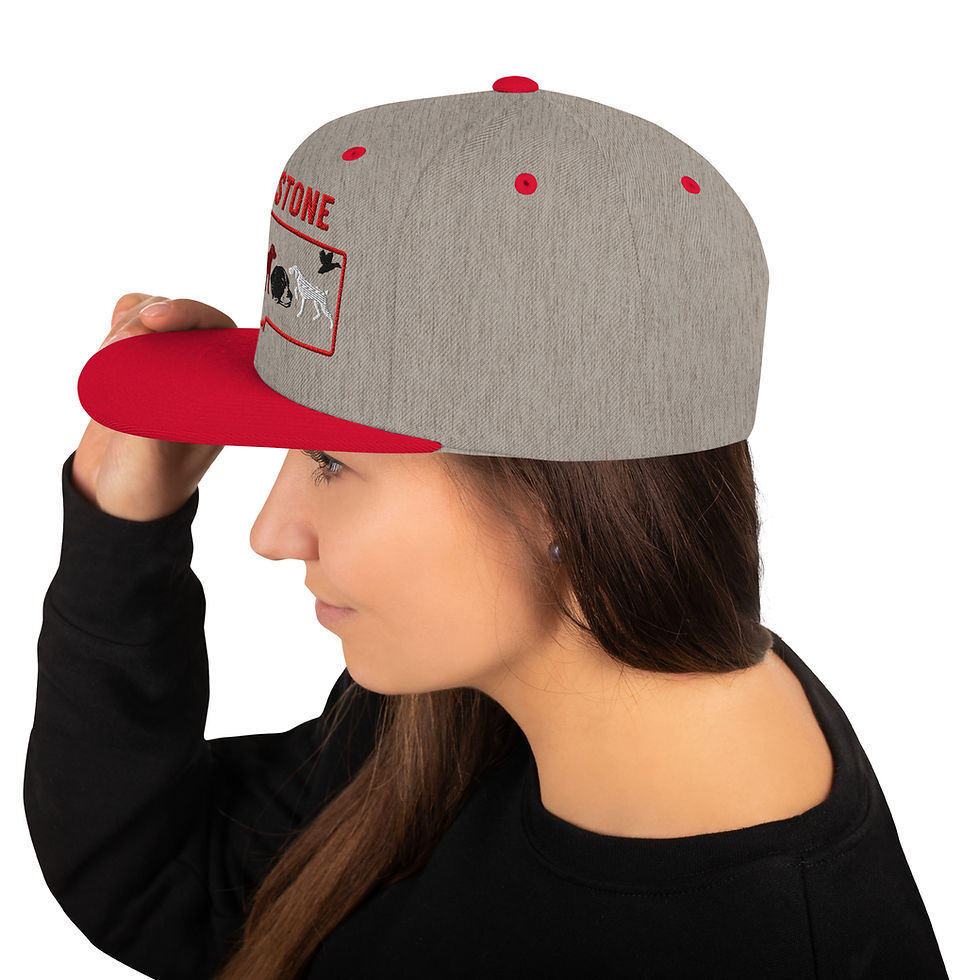 Thumbnail: Embroidered Logo Snapback Hat