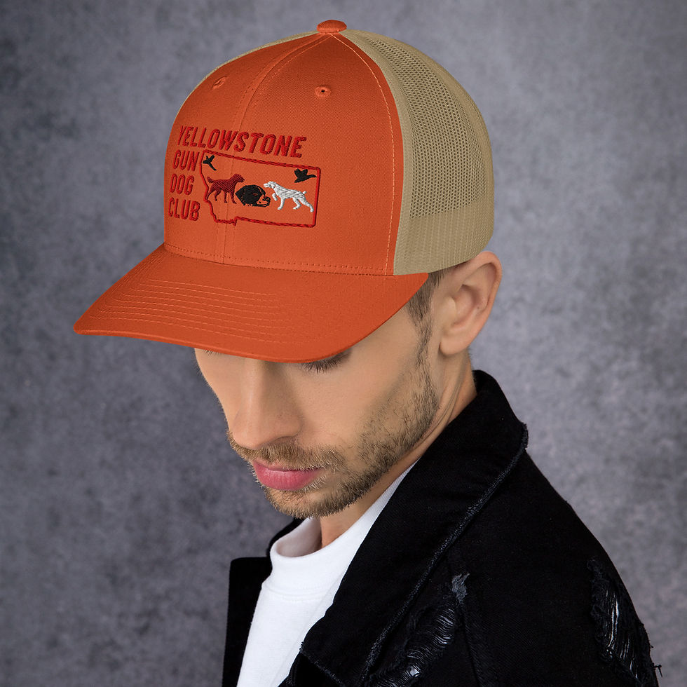 Thumbnail: Logo Trucker Cap