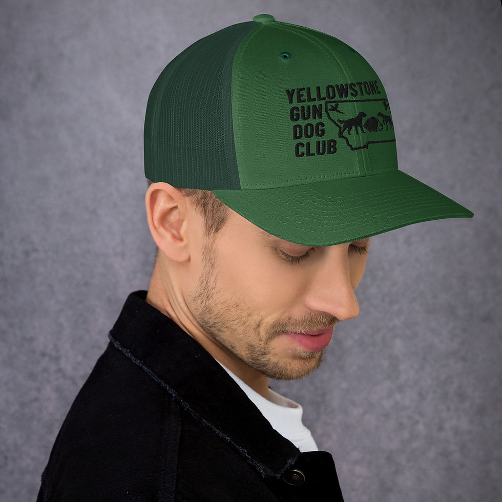 Thumbnail: Black Logo Trucker Cap