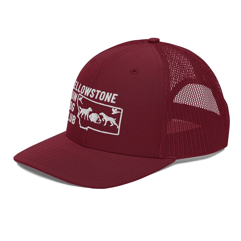Thumbnail: White Logo Trucker Cap Richardson 112