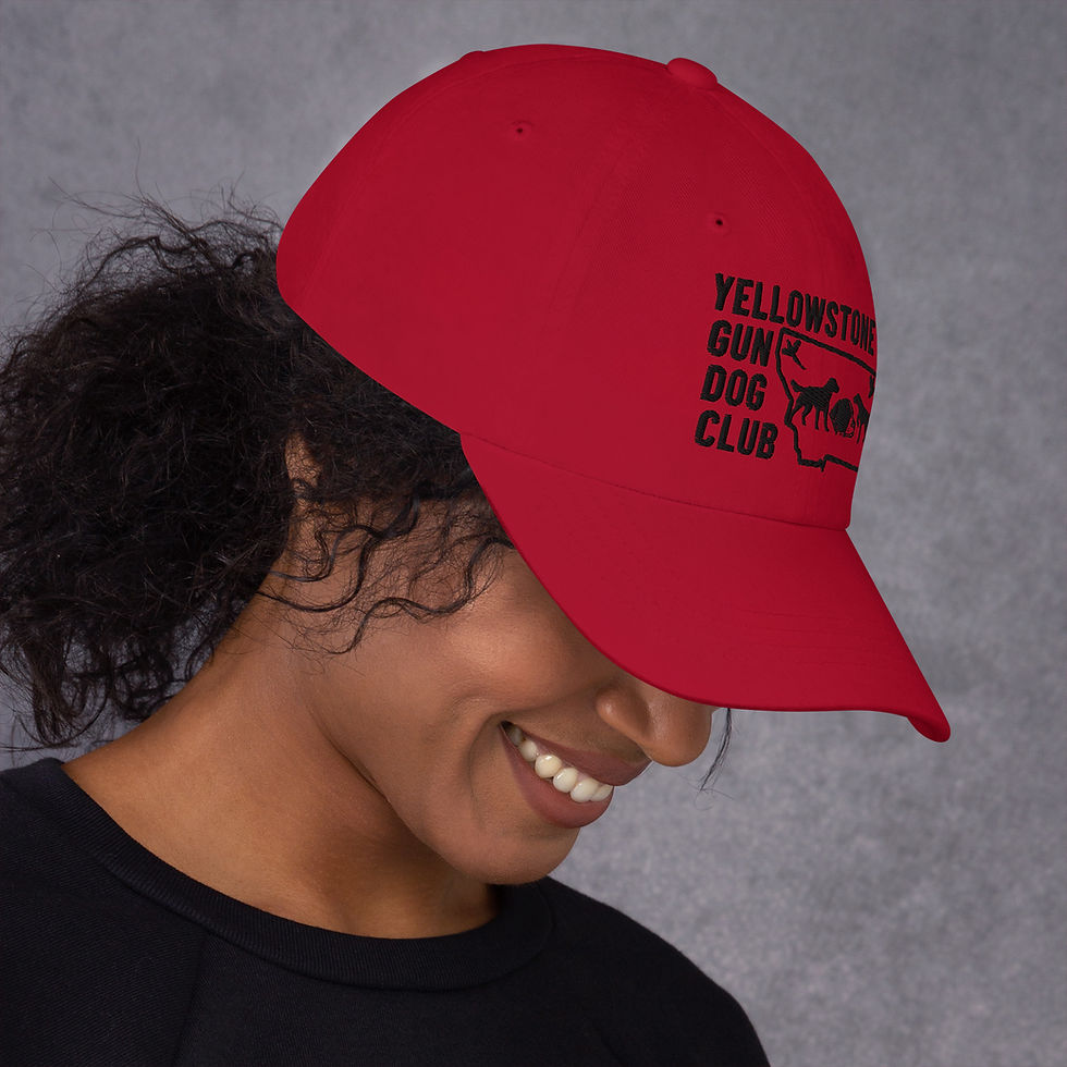 Thumbnail: Black Logo Dad hat