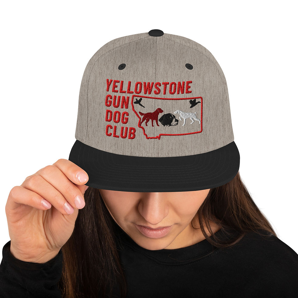 Thumbnail: Embroidered Logo Snapback Hat