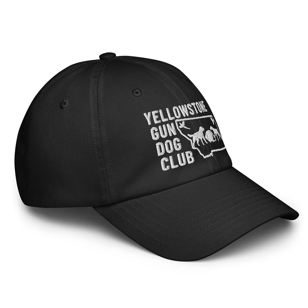 Thumbnail: White Logo Under Armour® dad hat