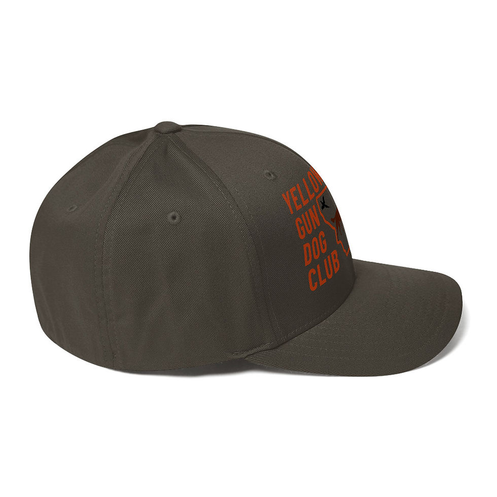 Thumbnail: Logo Hat Flexfit 6277