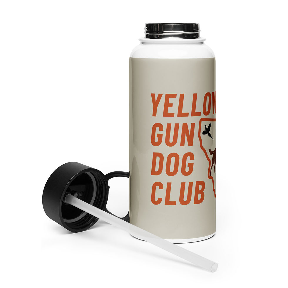 Thumbnail: Stainless steel water bottle with a straw lid