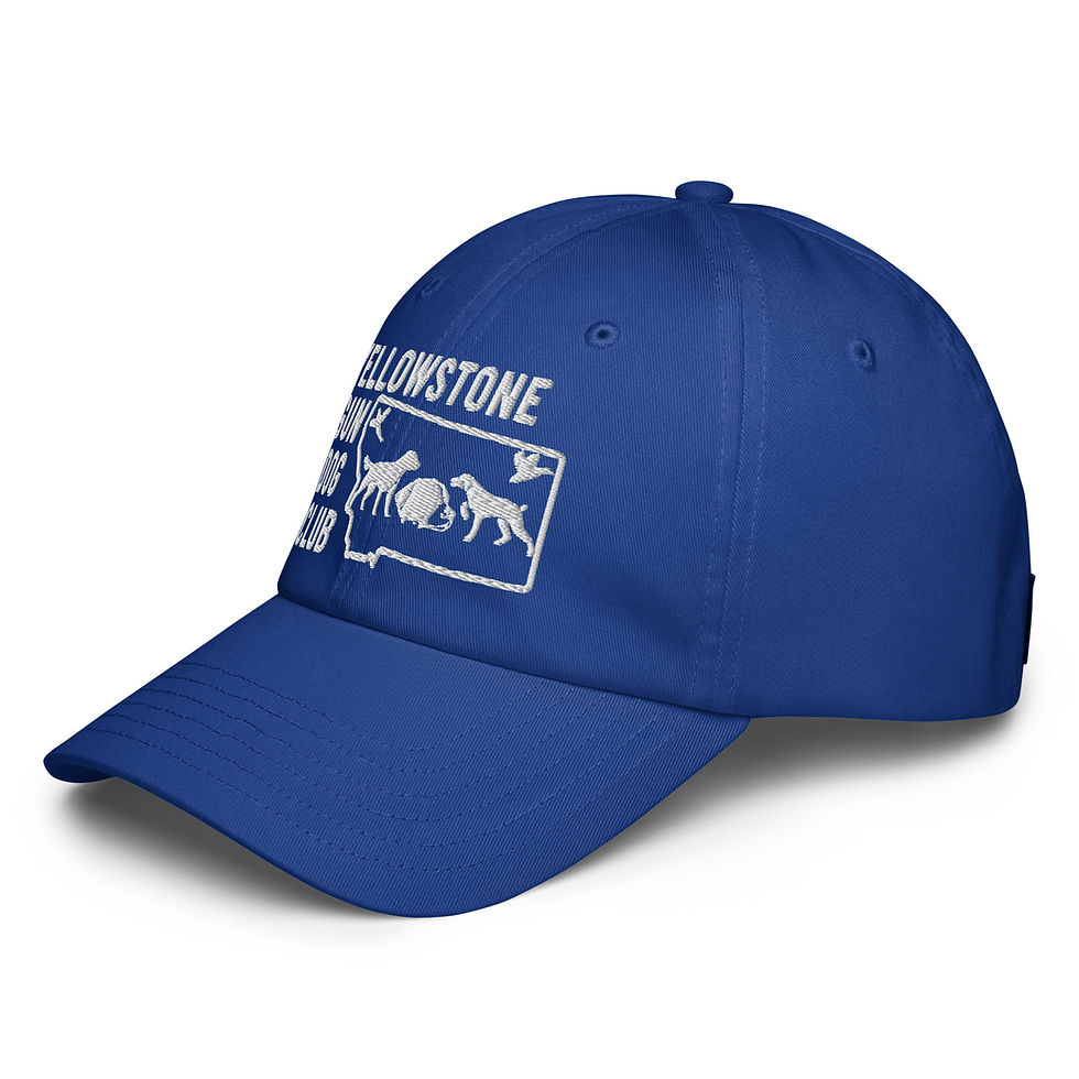 Thumbnail: White Logo Under Armour® dad hat