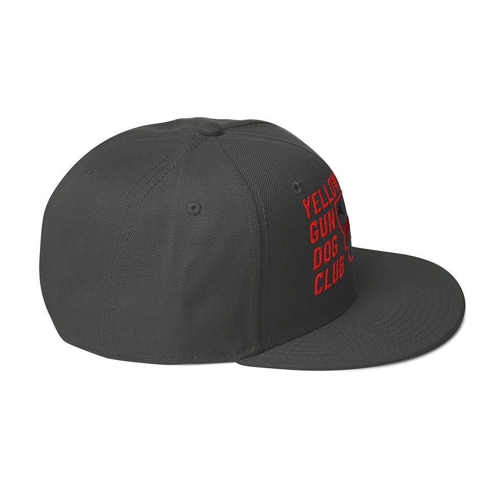 Thumbnail: Color Logo Snapback Hat