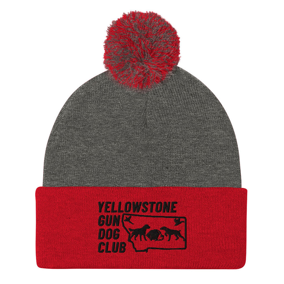 Thumbnail: Black Logo Pom-Pom Beanie