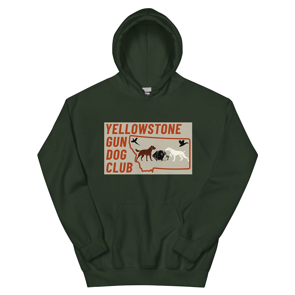 Thumbnail: Full Color Logo Unisex Hoodie - Alt