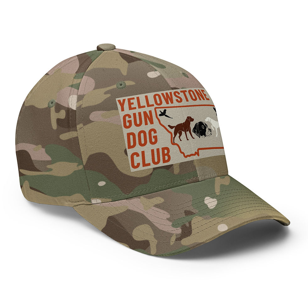 Thumbnail: Full Color Logo Hat Flexfit 6277