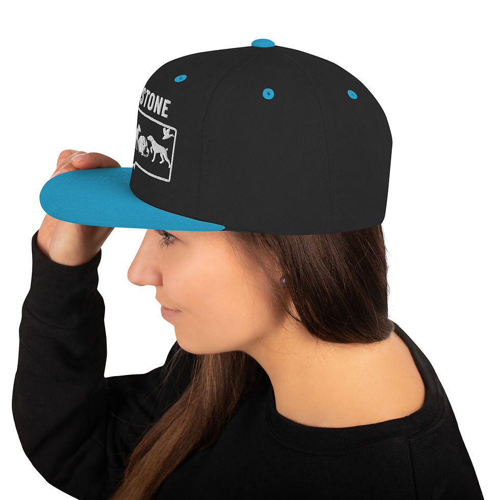 Thumbnail: White Logo Snapback Hat