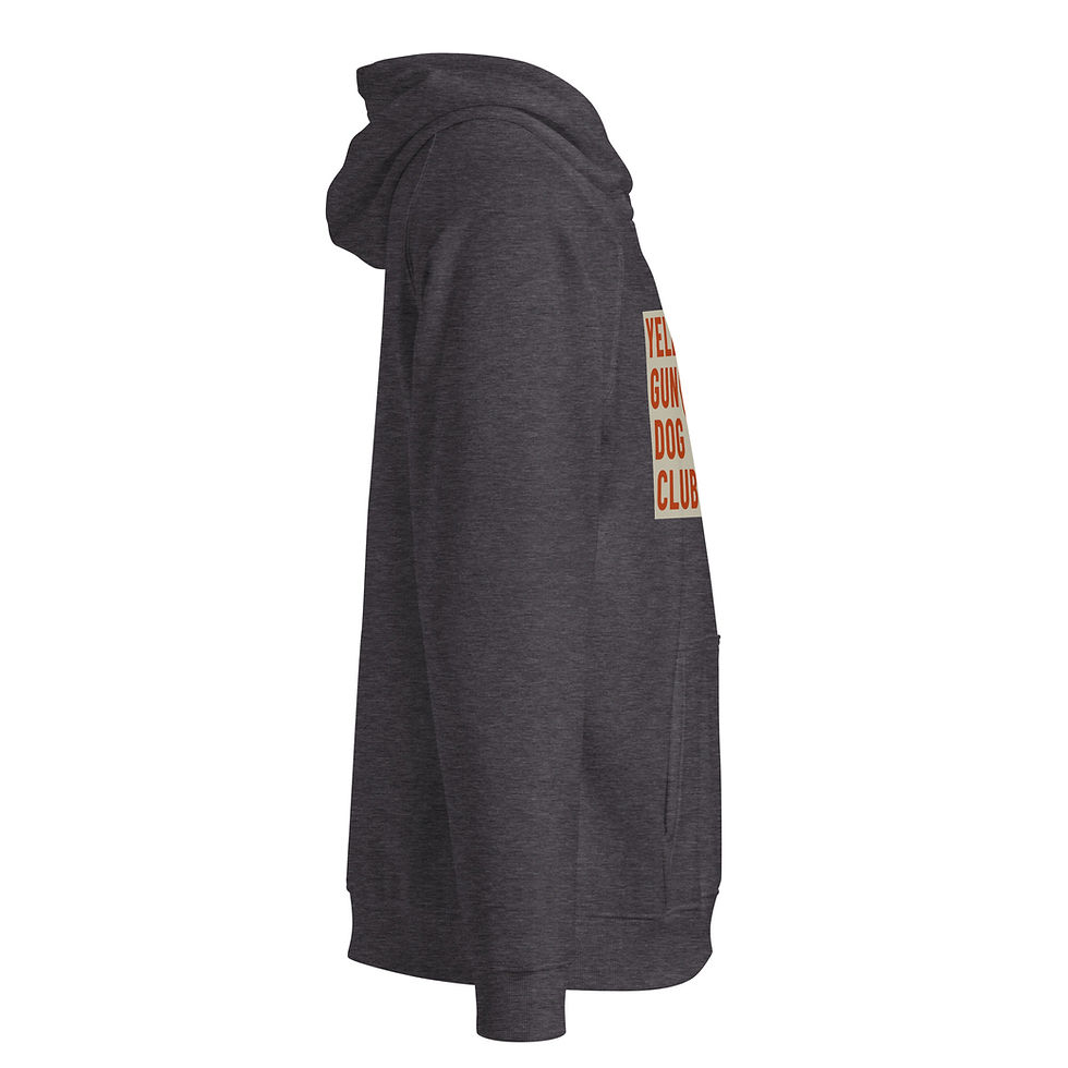 Thumbnail: Full Color Logo Unisex eco raglan hoodie