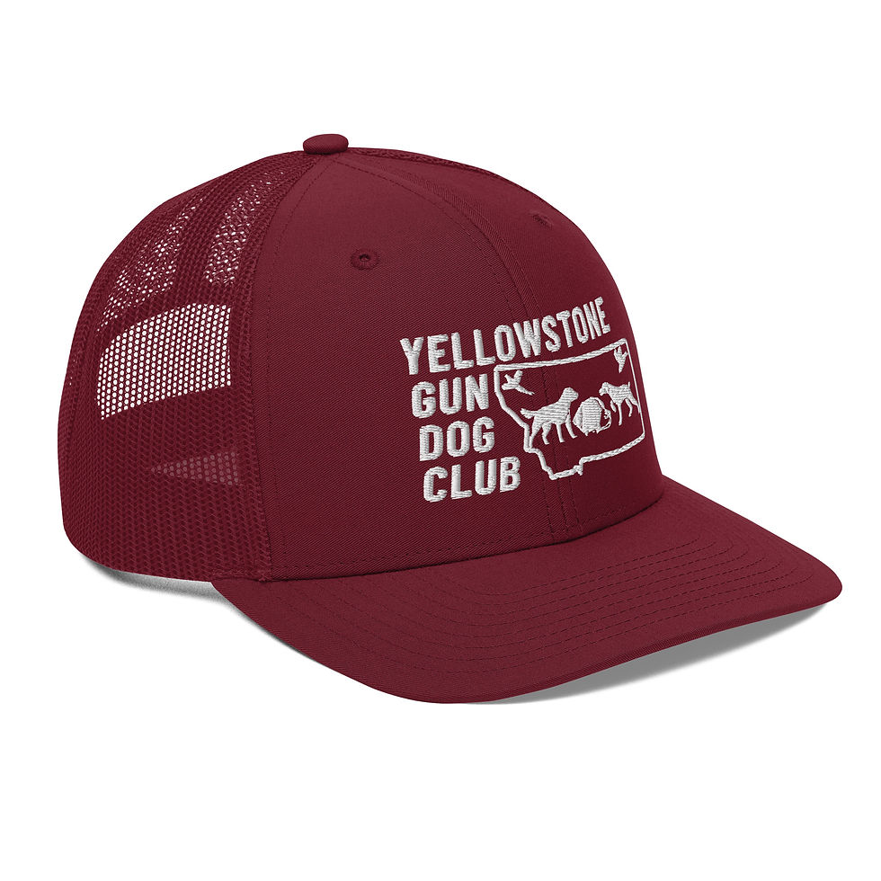 Thumbnail: White Logo Trucker Cap Richardson 112