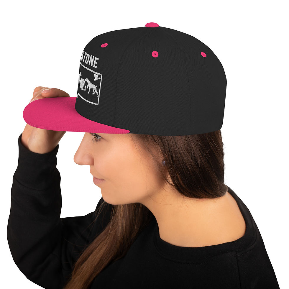 Thumbnail: White Logo Snapback Hat