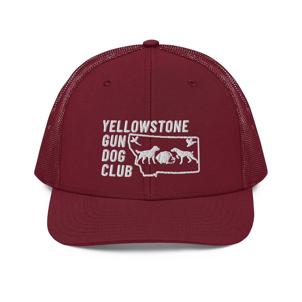 Thumbnail: White Logo Trucker Cap Richardson 112