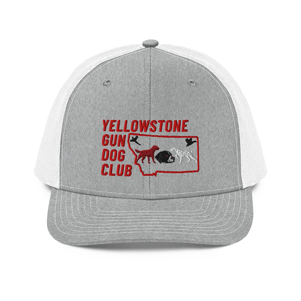 Thumbnail: Logo Trucker Cap Richardson 112