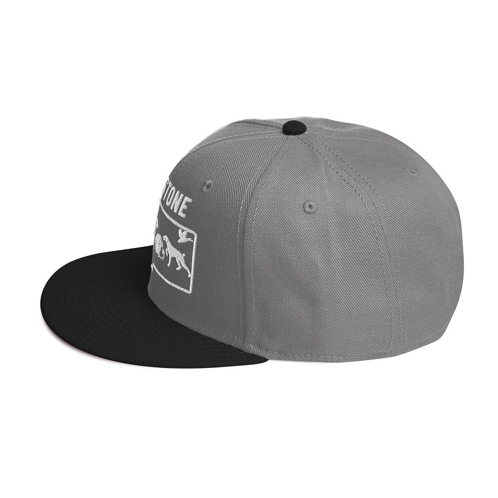 Thumbnail: White Logo Snapback Hat