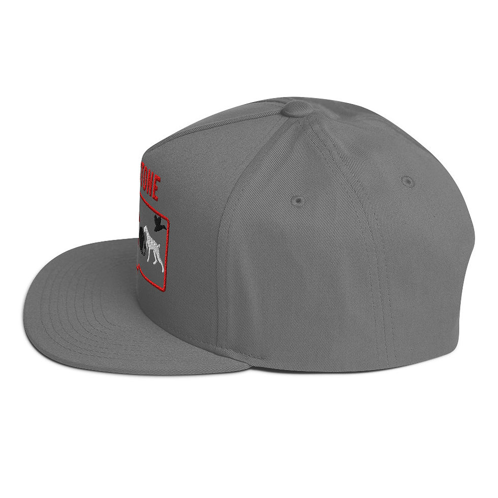 Thumbnail: Embroidered Flat Bill Cap