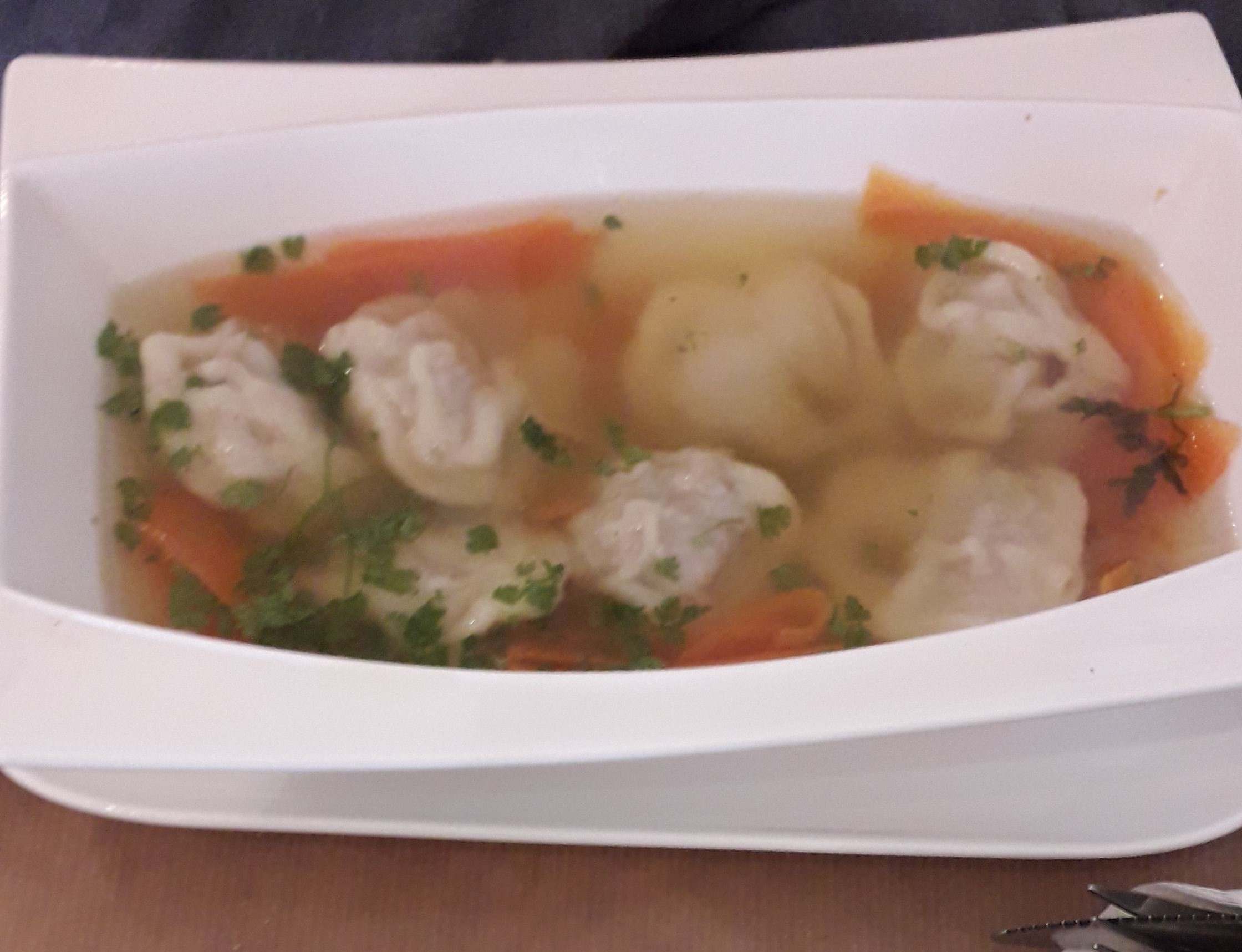 PELMENI ET BOUILLON.jpeg