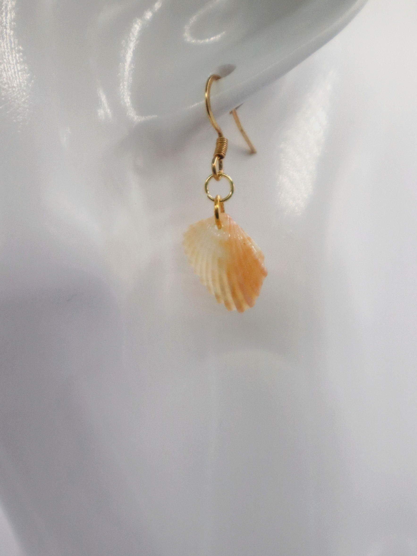 Orange and White Cardita Shell Earrings