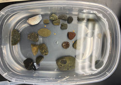 Undergraduate Research