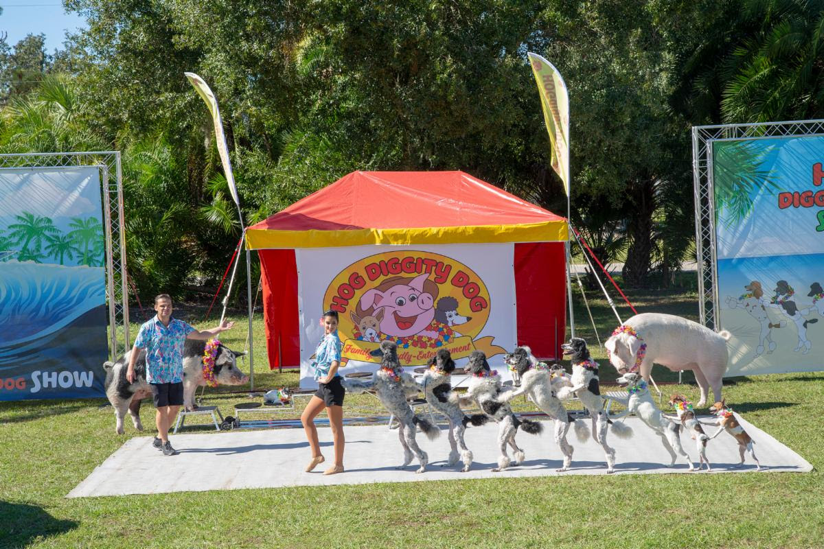 Herkimer County Fair Home Frankfort NY Fair Events