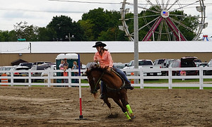 HorseGymk1.jpg