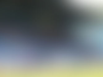 Aufstieg vertagt | SVM-Frauen spielen 2-2 gegen Gütersloh