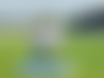 die PKF WMS GmbH & Co. KG zum Premiumpartner aufgestiegen