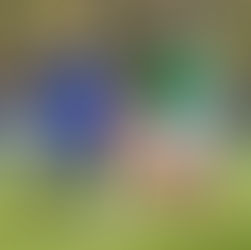 Vorbericht: Noch 5 Spiele zu bestreiten