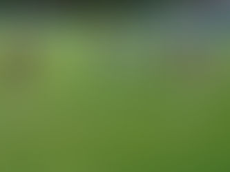 Zu viele Fehler: SV-Meppen-Frauen verpatzen Generalprobe