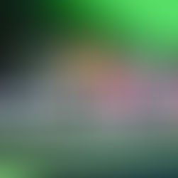 Werder Bremen wieder beim Budenzauber Emsland