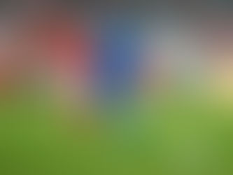 Mike Feigenspan verlässt SV Meppen