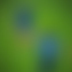 Klangvolles Duell mit unterschiedlichen Vorzeichen – SVM empfängt Turbine Potsdam