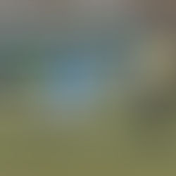 U16 des NLZ Emsland: Halbfinal-Highlight im Bezirkspokal