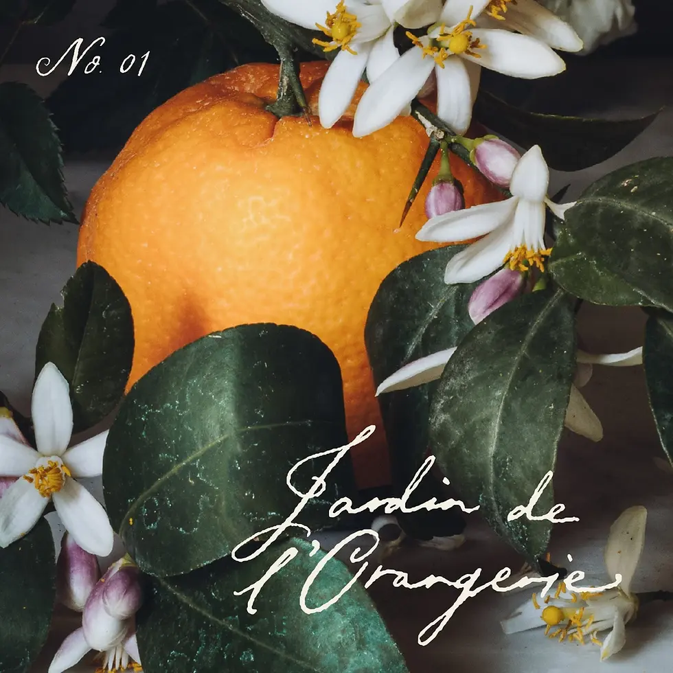 Thumbnail: Jardin De L'orangerie • Scented Candle