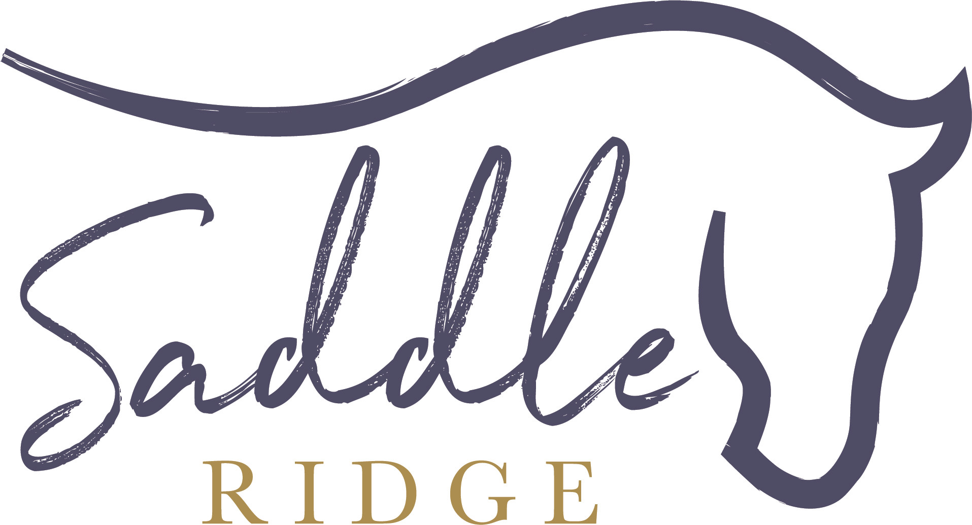 Saddle Ridge Luxury 5 bedroom Holiday House in Kangaroo Valley