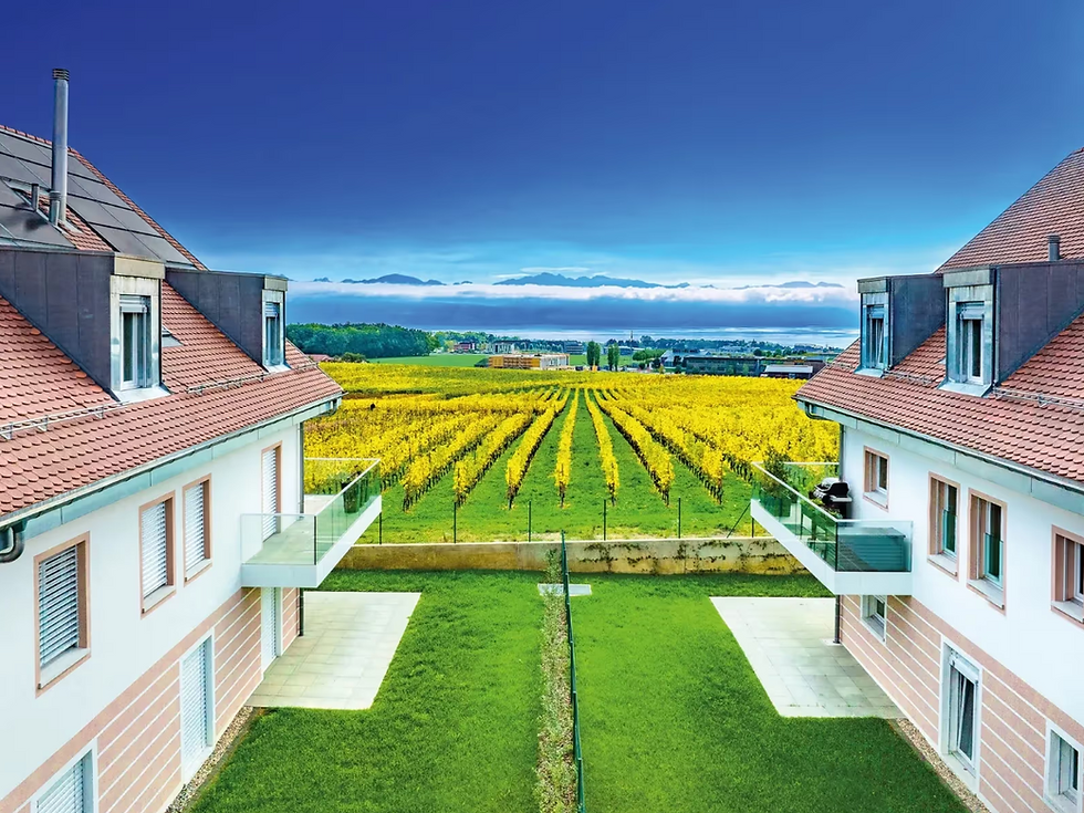 Résidence Grand Vigne – Etoy 4
