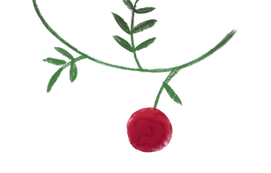Rose1_0138_edited.png