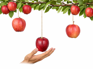  Is The Answer More Low Hanging Fruit?