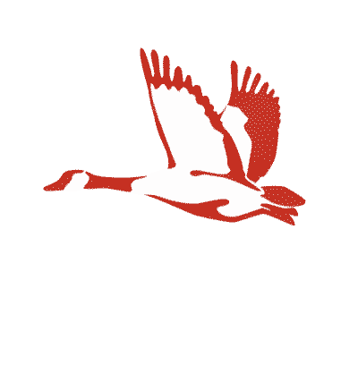 Animated_Goose-03.gif