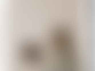 オンラインセッションの様子