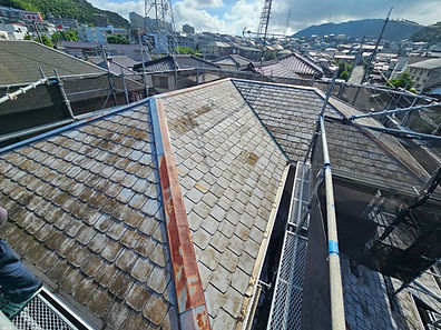 劣化したコロニアル