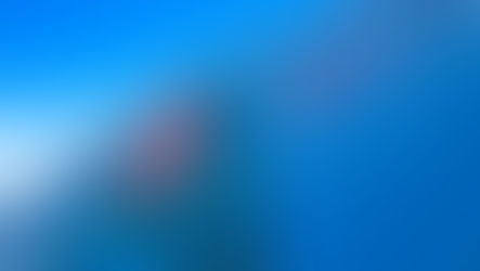 ホームページが新しくなりました!