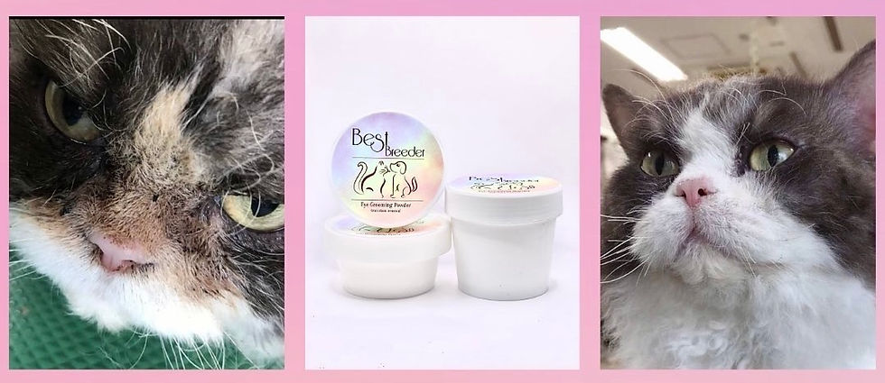 Best Breeder Eye Grooming Powder