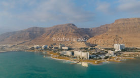 1041__Dafna T_3000px.JPG