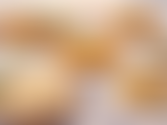 Best Place for Family Dining and Halal Food in Elmont, NY